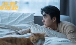 靳东最新爆料消息视频,揭秘娱乐圈不为人知的秘密