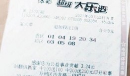 大乐透中奖最新爆料,揭秘中奖者喜提巨额奖金背后的故事